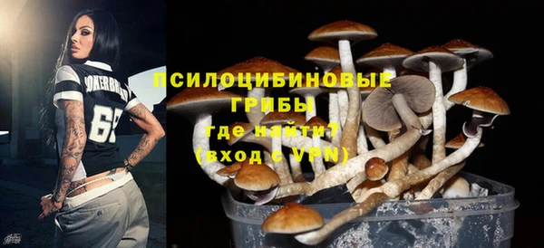 PSILOCYBIN Вяземский